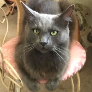Meet your Posher, Sheena